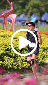 BIB:  <button type="button" onclick="openModal(27588413)" class="btn btn-primary btn-sm float-right" data-toggle="modal" data-target=".modal-high-quality">
                <i class="fa fa-download"></i> Download
                </button>